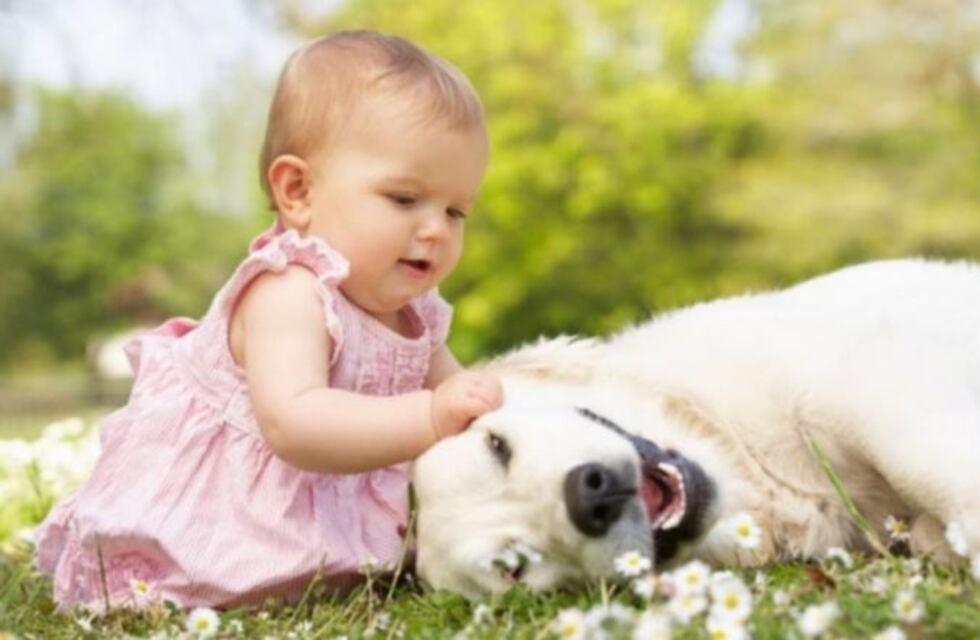 Una dulce escena: un perro le enseña a gatear a una bebé