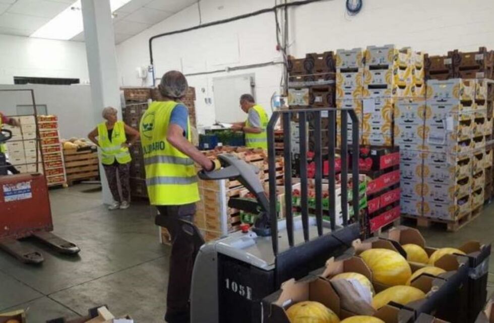 Aprueban un proyecto para facilitar la donación de alimentos