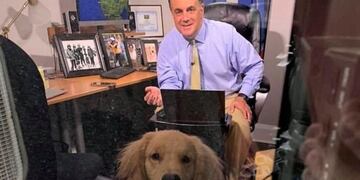 La divertida presencia de un perro en medio de una transmisión en vivo de su dueño meteorólogo