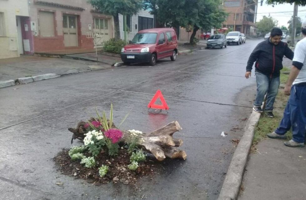 Proponen llenar de flores los baches de San Miguel para hacerlos visibles