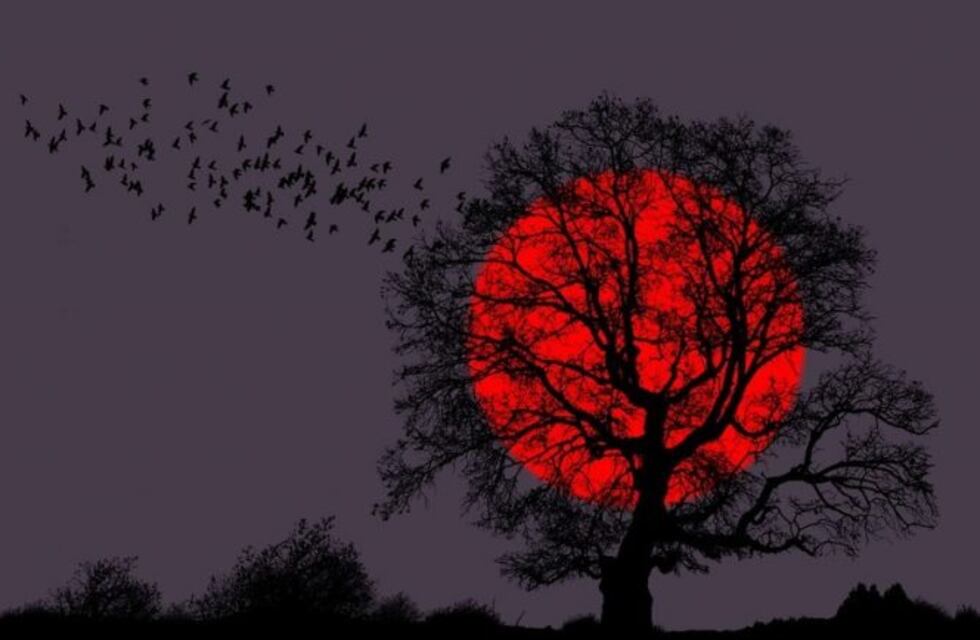"Luna de Sangre": el eclipse lunar más largo del siglo XXI se podrá apreciar desde el fin del mundo