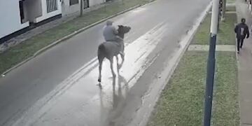 Un hombre a caballo intenta robar a plena luz del día a vecinos de Los Polvorines (Captura Youtube Clarín)