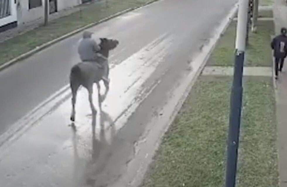 Detuvieron al hombre que robaba a caballo en Los Polvorines
