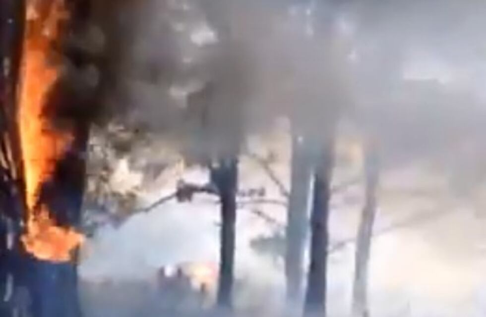 Incendio en el Parque Pereyra Iraola, bomberos pudieron controlar el fuego
