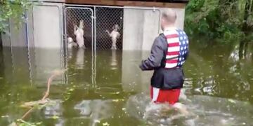 Evitó que seis perros se ahogaran durante el huracán Florence