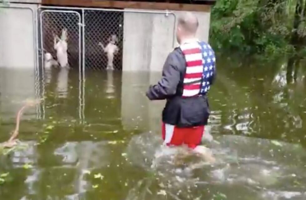 Evitó que seis perros se ahogaran durante el huracán Florence