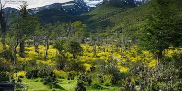 Parque Nacional Tierra del Fuego
