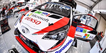 Rally México