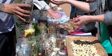 Intercambio de semillas (Foto: Web)