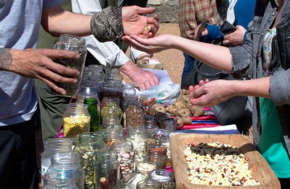 Se viene el 2° Encuentro de Intercambio de plantas y semillas
