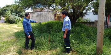 Multas por yuyos altos en Colonia Caroya