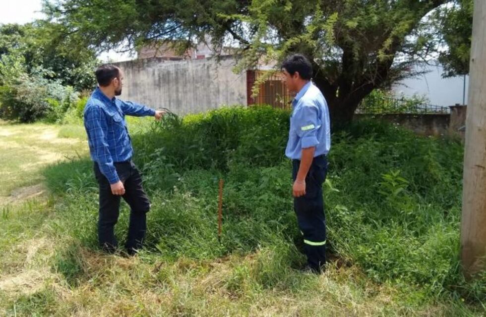 Más de 250 multas por no cortar el pasto en Colonia Caroya