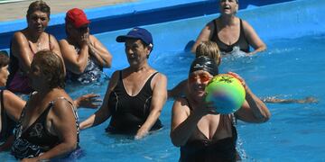 Escuelas de verano para adultos mayores, donde compartir más que actividad física