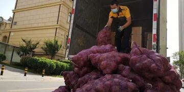 Una joven le envió una tonelada de cebolla a su exnovio para que \