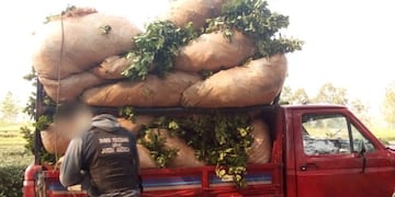 La policía restituyó la hoja verde a sus legítimos dueños\u002E