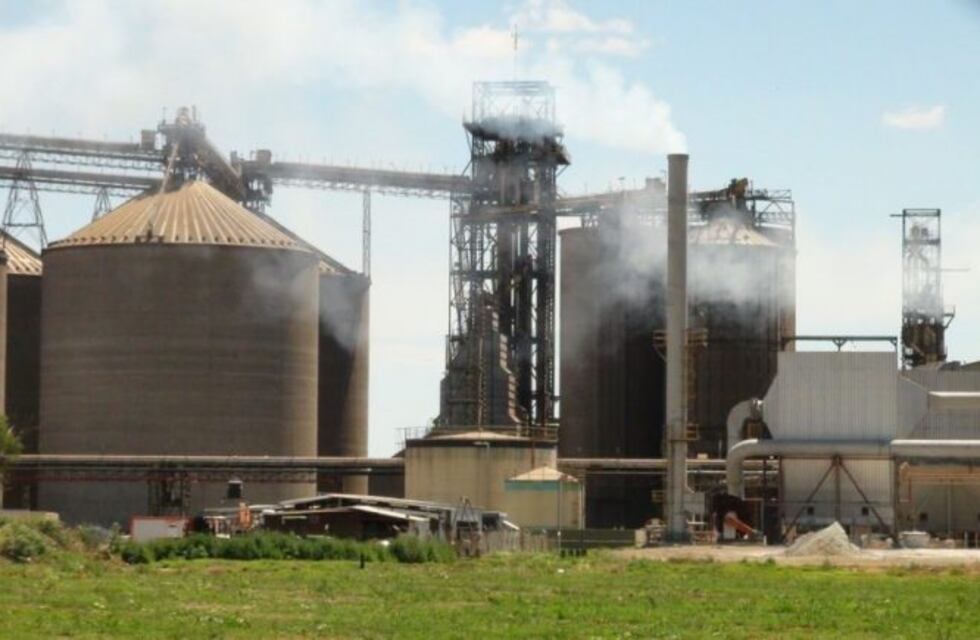 Junín: murieron ahogados tres obreros tapados en cereal mientras limpiaban