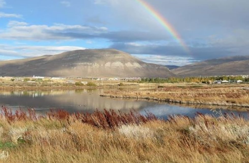 Relanzan el Concurso de Arte y Naturaleza "Tributo al Humedal"