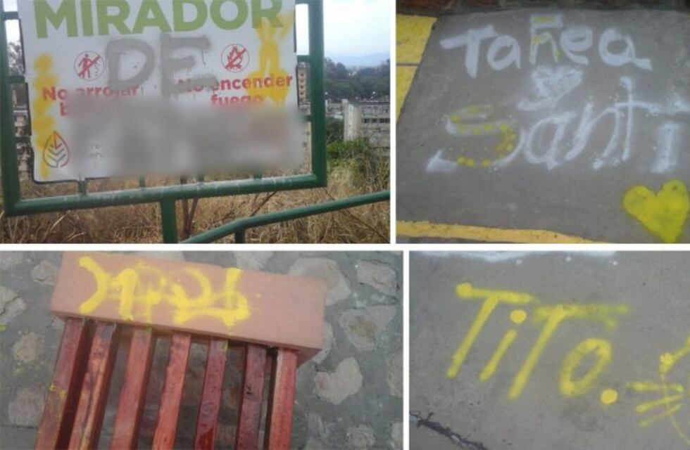 Los inadaptados de siempre: vandalizaron la ciclovía del San Bernardo