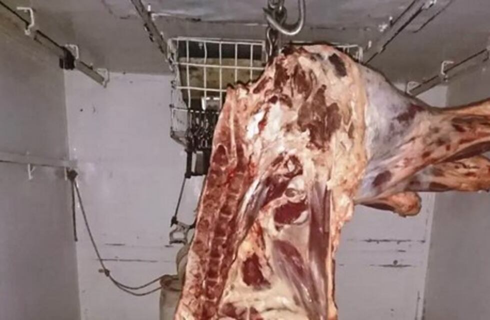 Llevaban carne en un vehículo no equipado y les incautaron la mercadería