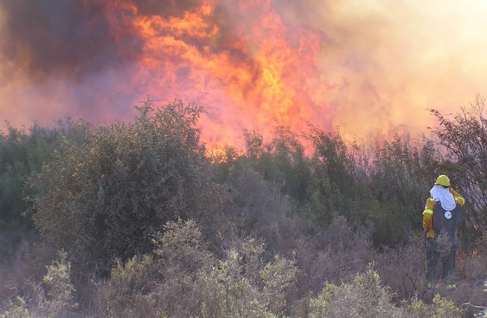 Construirán una nueva base en Monte Comán para la lucha contra los incendios forestales