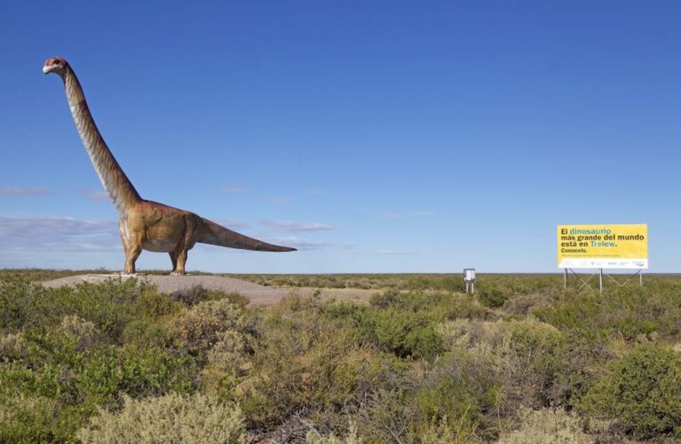 Por la ruta de los dinosaurios