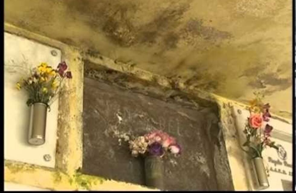 Colonia Caroya: buscan desocupar 74 fosas del cementerio