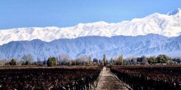 Roxana Giorgi, autora de la foto natural de la bandera\u002E