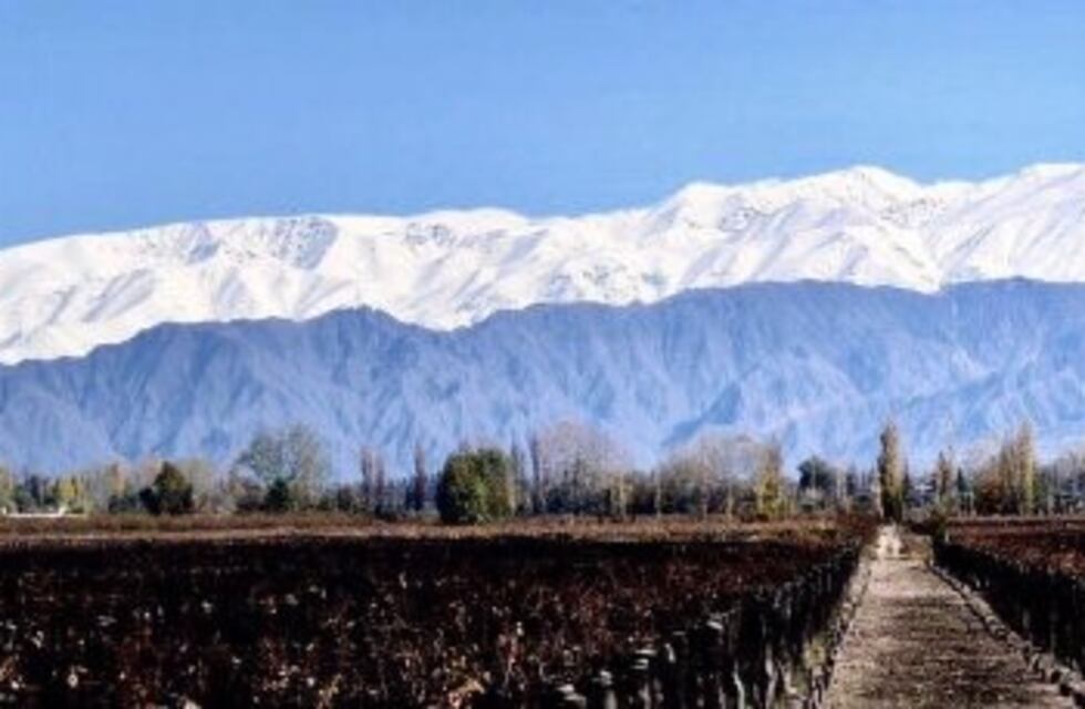 Es mendocina la autora de la foto de la bandera natural que hace furor en las redes