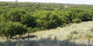 Un cazador a prisión en La Pampa (De Frente al Campo)