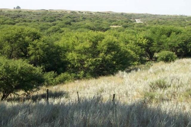 Un cazador a prisión en La Pampa (De Frente al Campo)