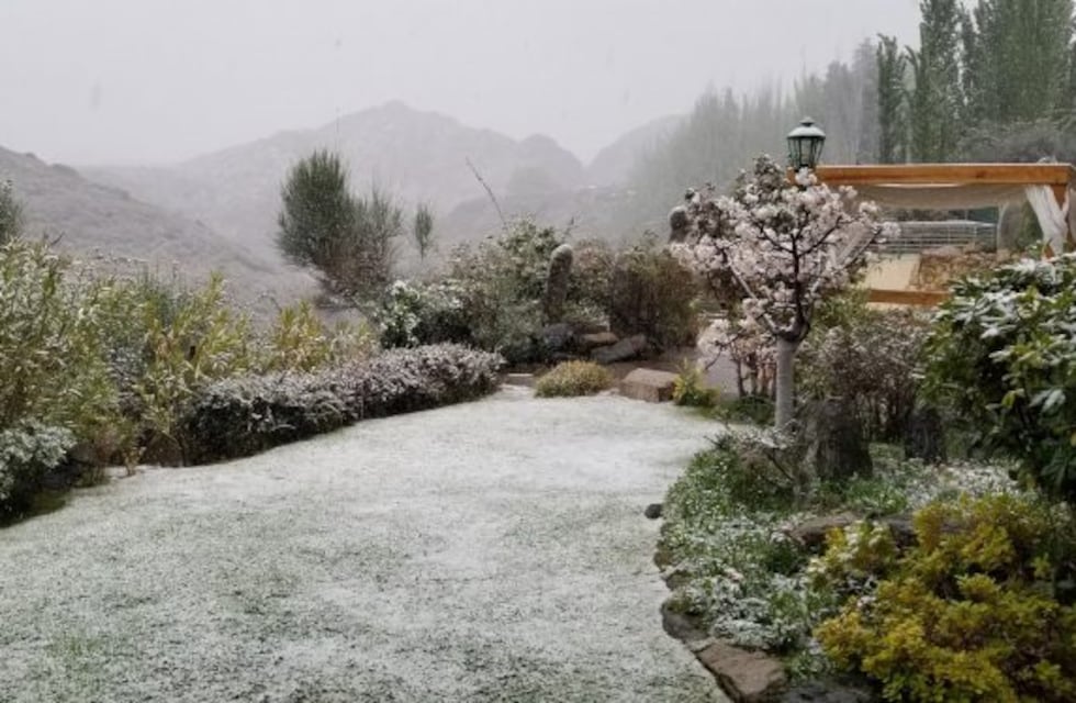 La nieve sorprendió a Mendoza en primavera