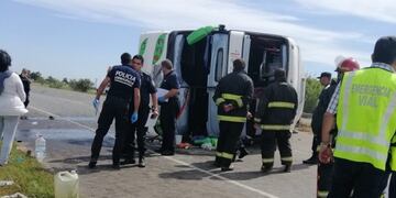 Alberto Gustavo Maldonado, el chofer del colectivo que volcó en la Ruta 2 (Foto: Policía Bonaerense)