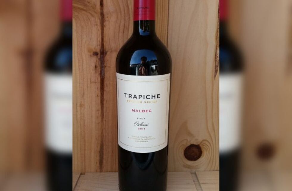 Un vino mendocino es el mejor Malbec del mundo