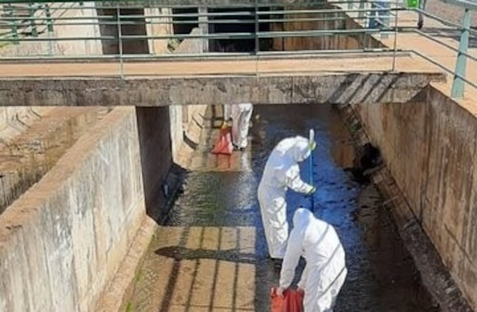 Sacaron 300 kilos de peces muertos en el arroyo Vicario de Posadas