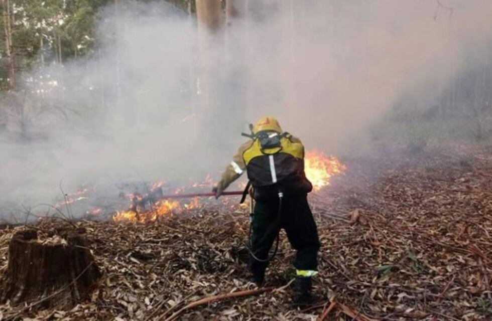 Incendio Forestal: más de 100 hectáreas consumidas por el fuego