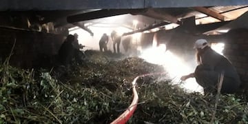 Incendio de un secadero en Andresito