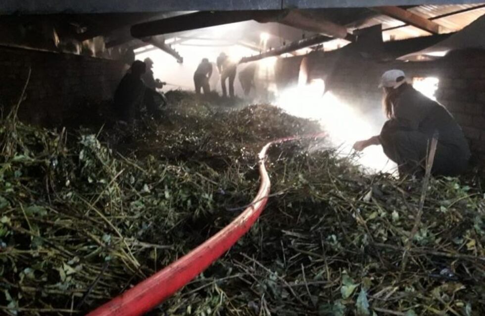 Incendio de un secadero en Andresito causó millonaria pérdida