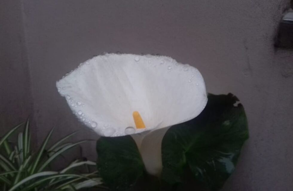 Sigue la lluvia y el frío en Rafaela y zona