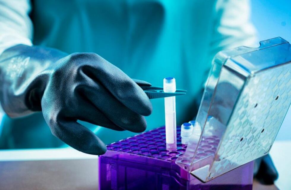 Salta: una obra social deberá cubrir una criopreservación del embrión y la fertilización asistida