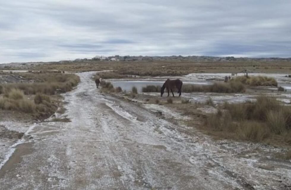 Cae agua nieve y diversas nevadas en las Altas Cumbres desde esta madrugada
