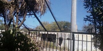 La situación en Yrigoyen