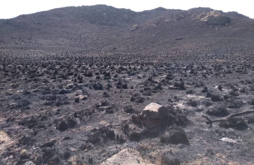 Incendios: entregaron subsidios para la reconstrucción de viviendas afectadas por el fuego