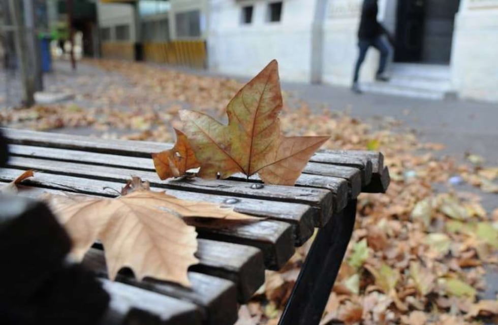 Llegó el otoño y en Malargüe recordaron que está prohibida la quema de hojas