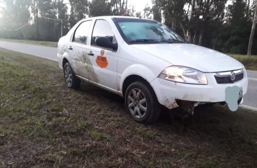 Malagueño: dos vehículos embistieron a un caballo suelto