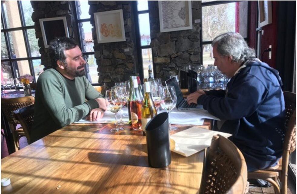 Reconocieron a nivel internacional a los vinos caroyenses