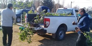 Entrega árboles del Plan Agroforestal Córdoba