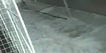 La policía investiga las circunstancias que produjeron el choque\u002E