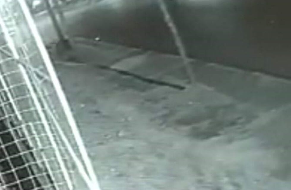 Murió el joven que chocó con su moto el viernes por la noche