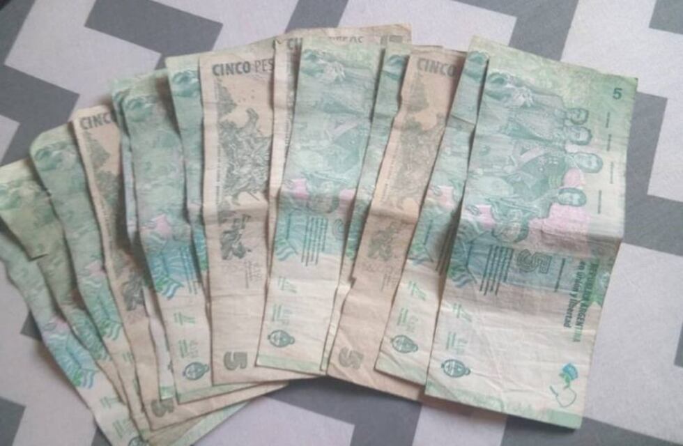 Integrantes de una Fundación buscan recolectar billetes de 5$ para ayudar a animales en adopción