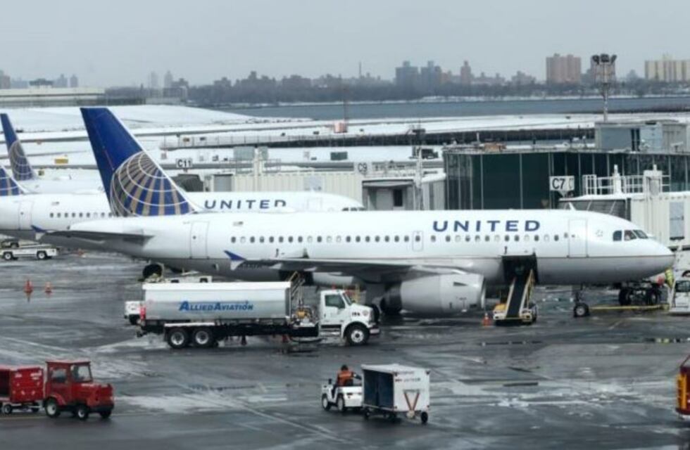 Un perro murió en un vuelo por ir en el portaequipajes